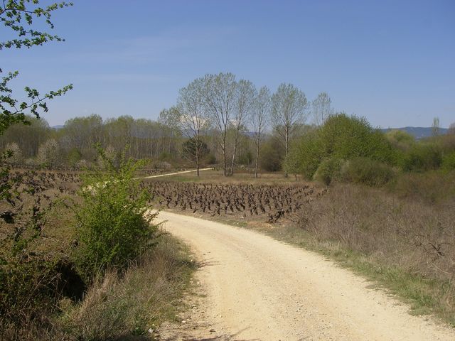 P4010981.JPG