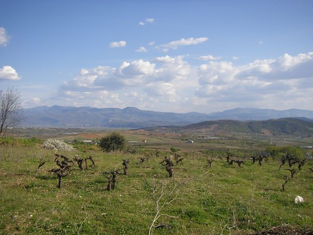 P4010987.JPG