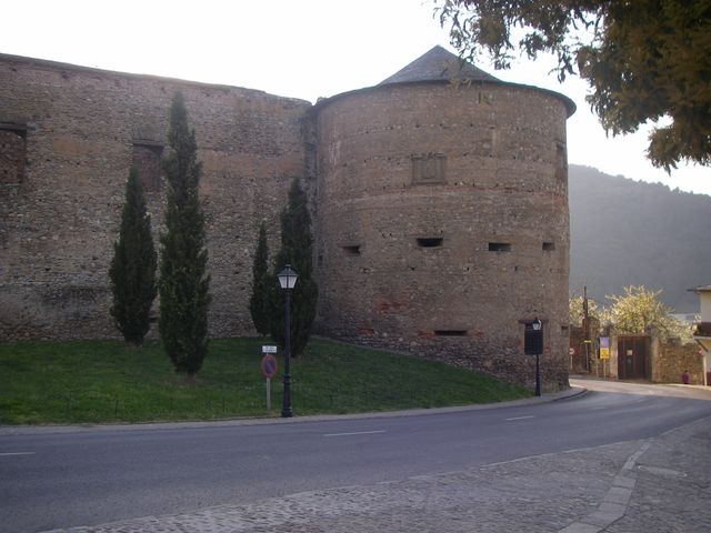 P4010989.JPG