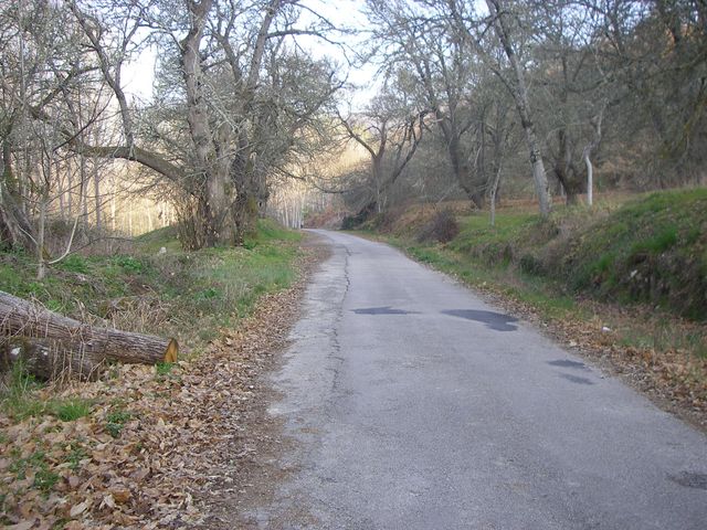 P4020994.JPG