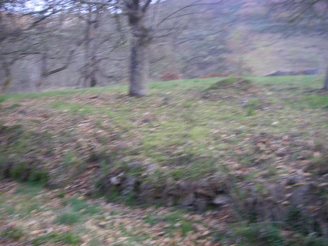 P4020995.JPG
