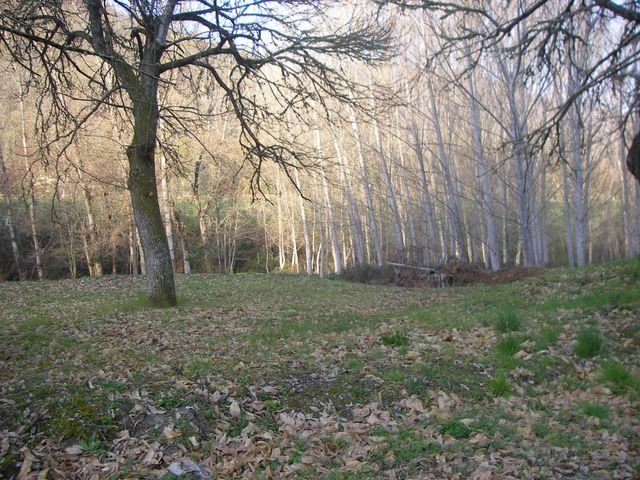 P4020997.JPG