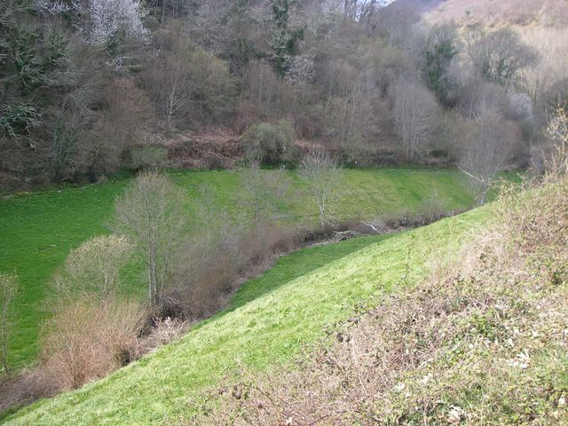 P4021005.JPG