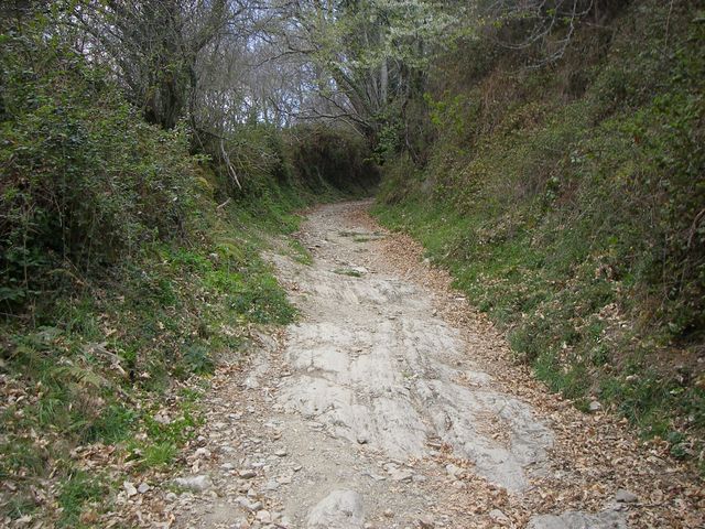 P4021010.JPG