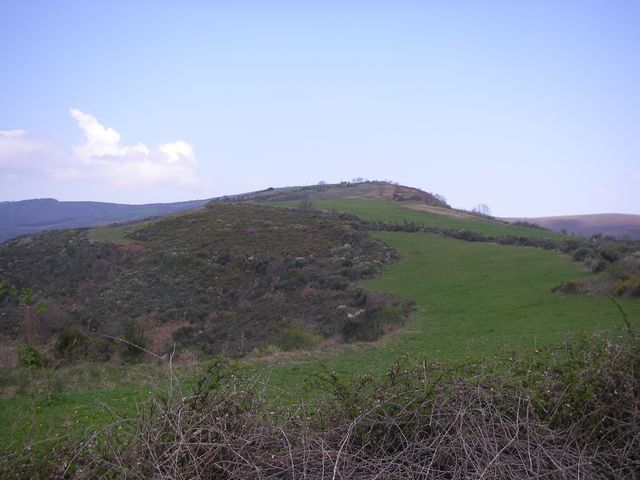 P4021014.JPG