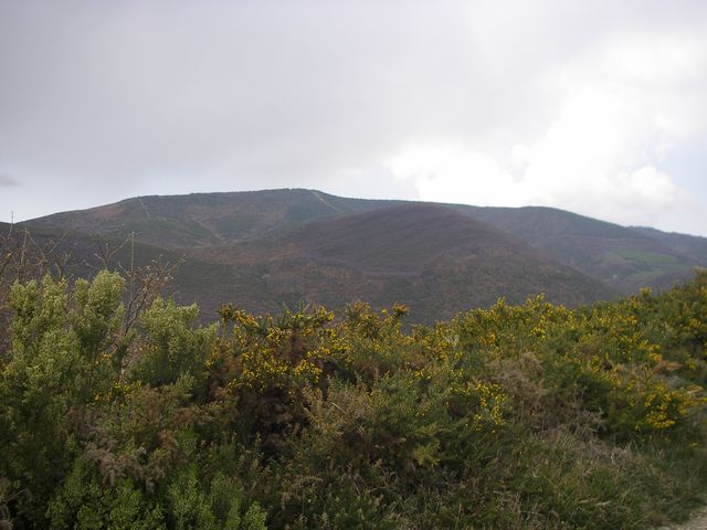 P4021016.JPG