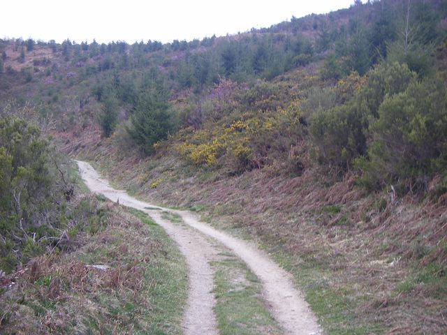 P4021036.JPG