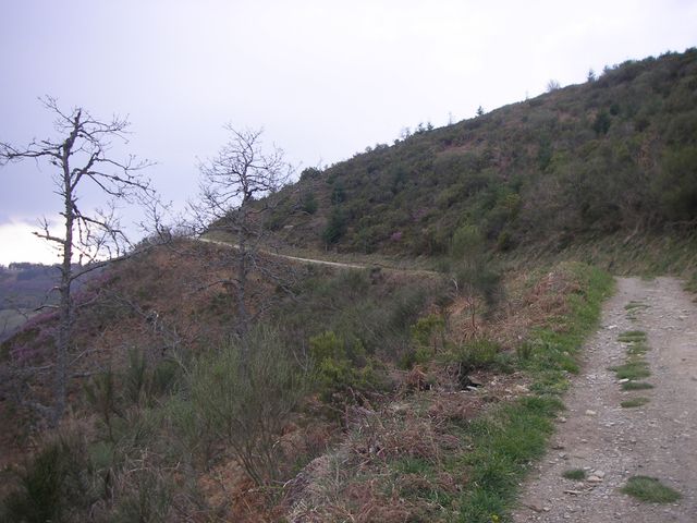 P4021038.JPG