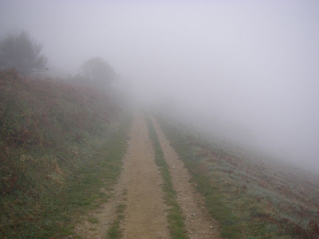 P4031044.JPG