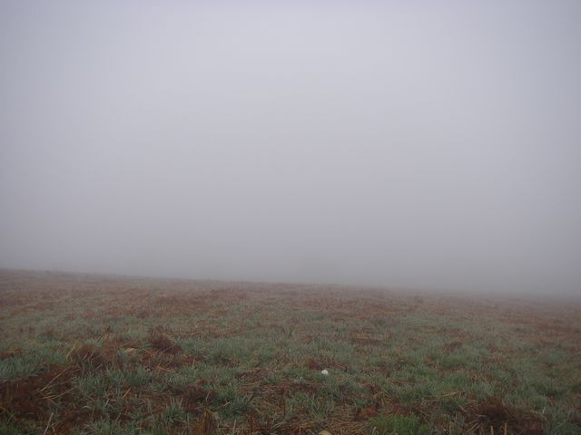 P4031045.JPG