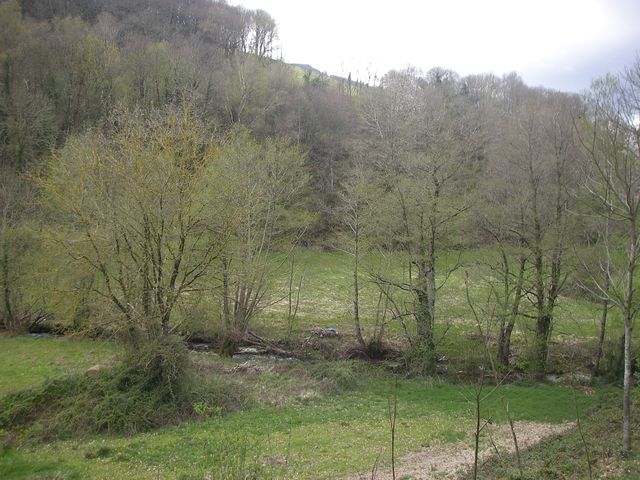 P4031053.JPG
