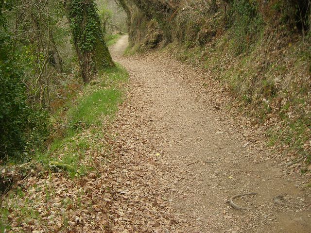 P4031060.JPG