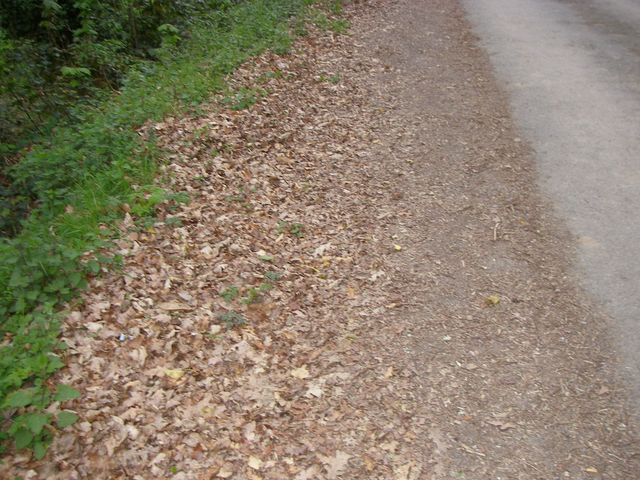P4041072.JPG
