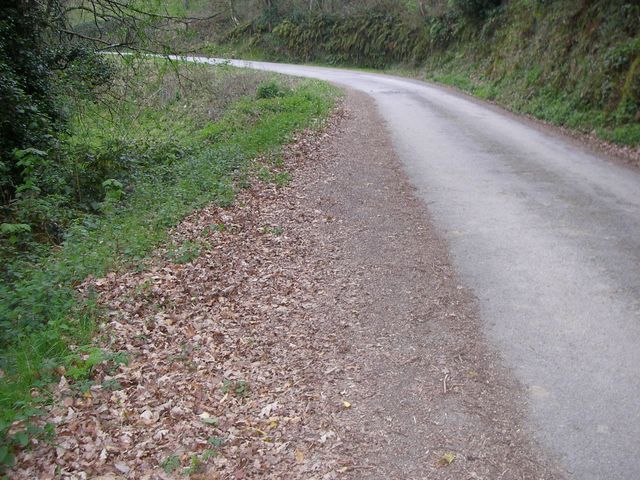P4041073.JPG