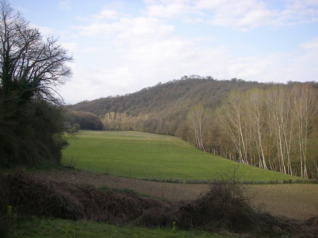 P4041084.JPG