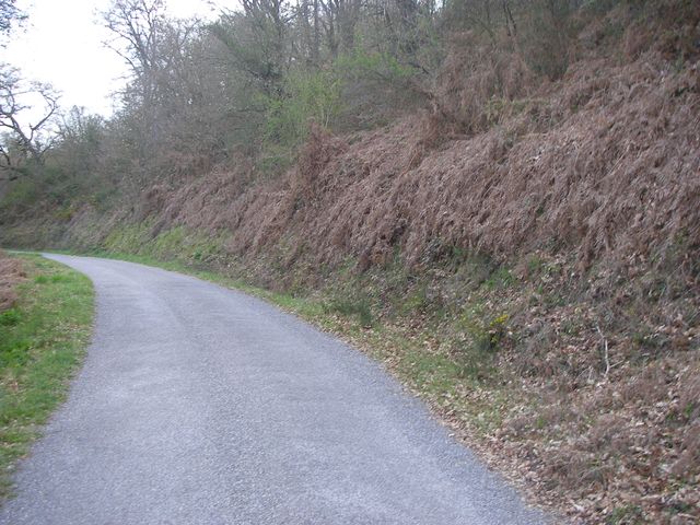 P4041085.JPG