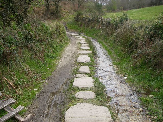 P4041111.JPG