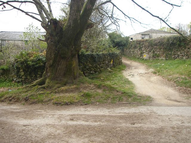 P4041113.JPG