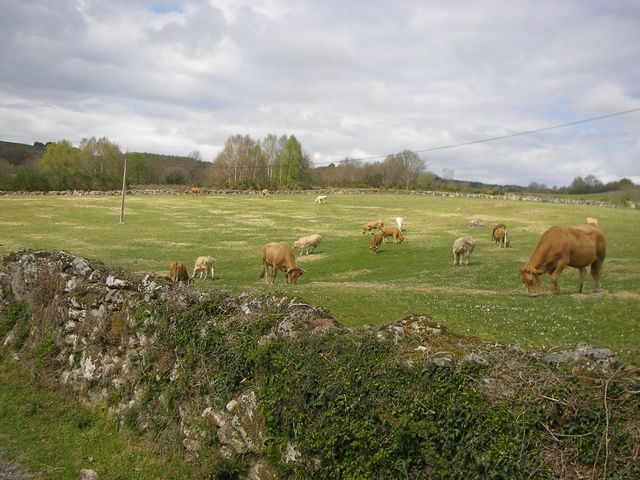 P4041119.JPG