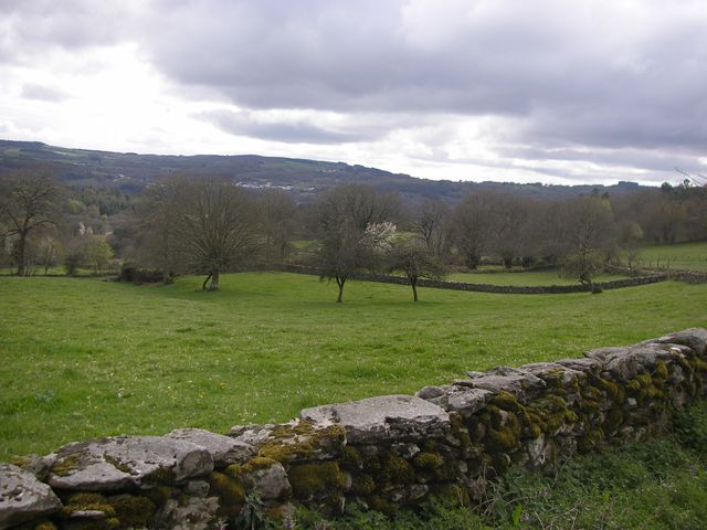 P4041125.JPG