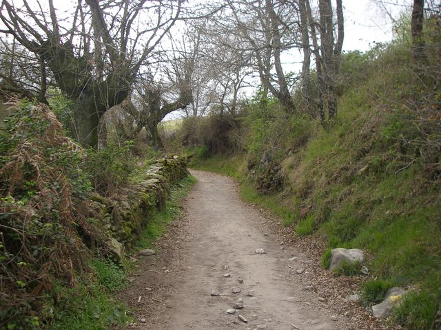 P4041127.JPG