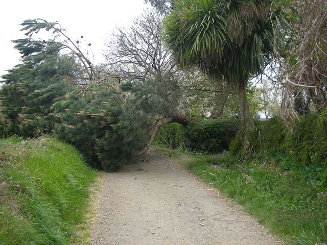 P4061155.JPG