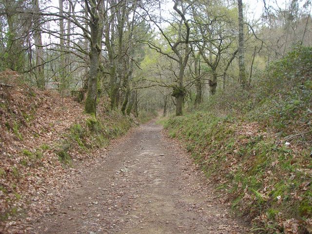 P4061166.JPG
