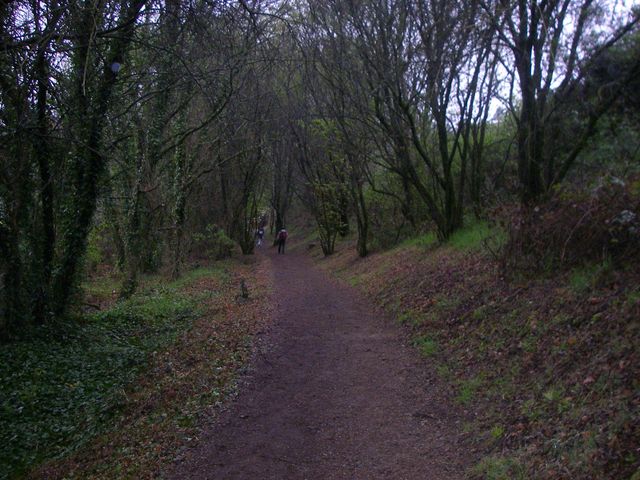 P4071185.JPG