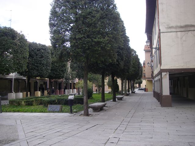 P3242664.JPG