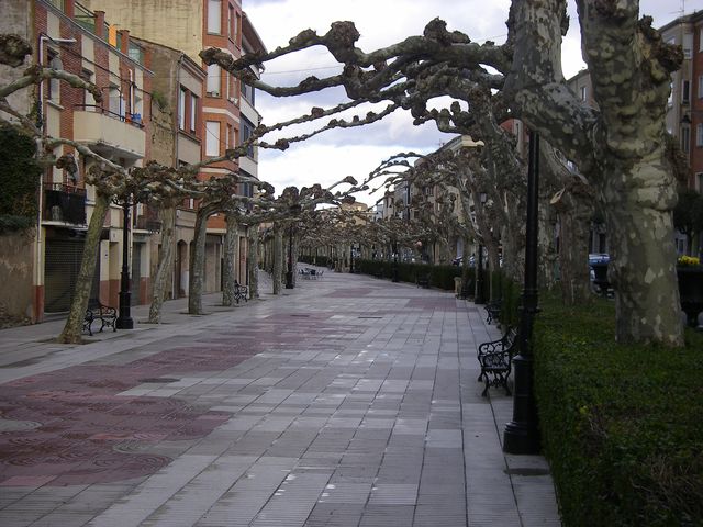 P3242670.JPG