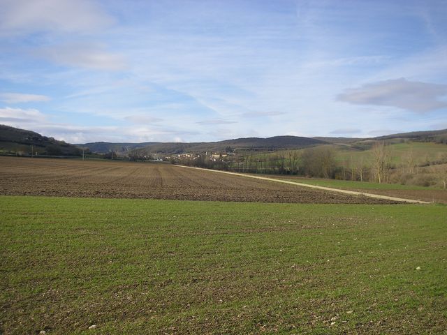 P3262686.JPG