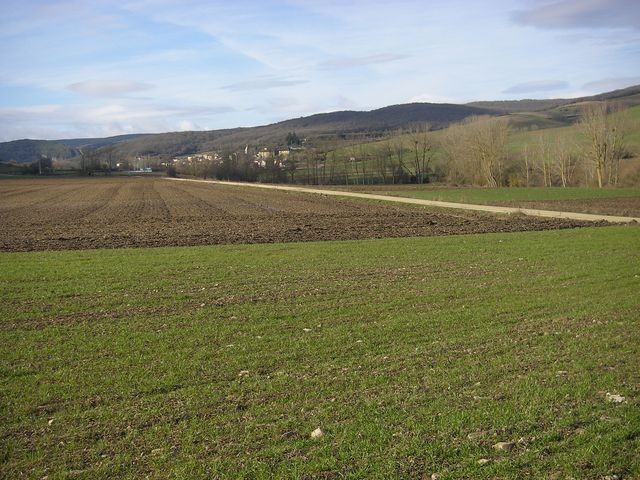P3262687.JPG