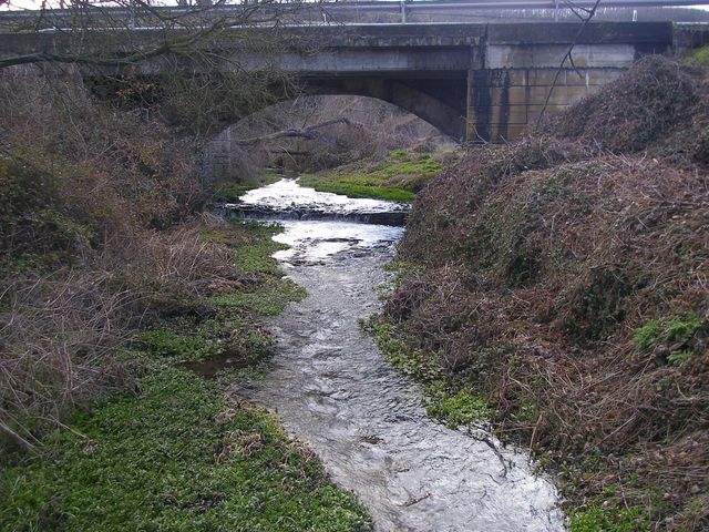 P3262688.JPG