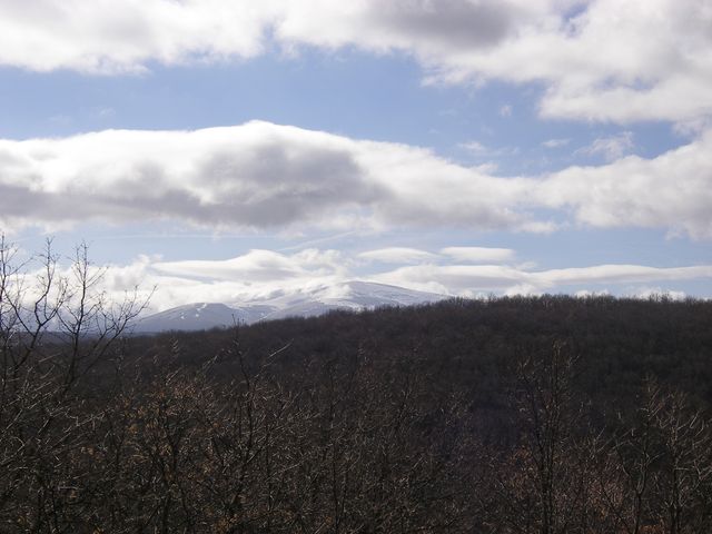 P3262695.JPG