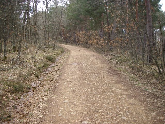 P3262727.JPG