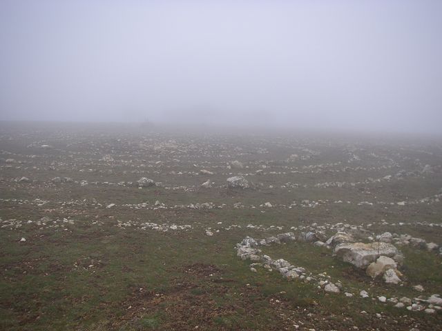 P3272739.JPG