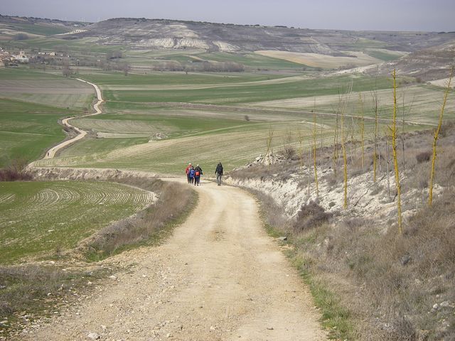 P3282755.JPG