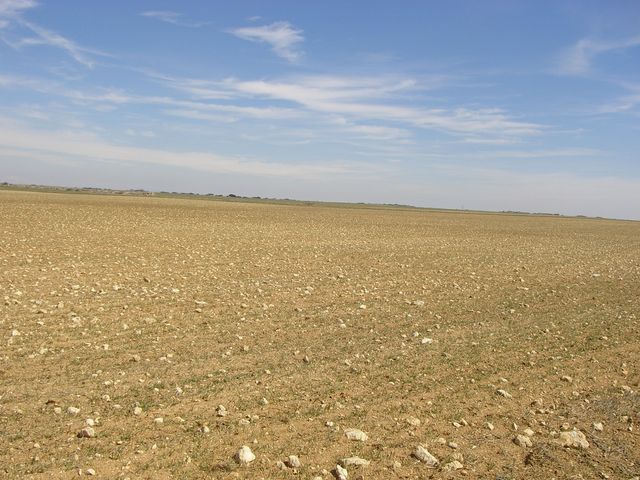 P3282765.JPG