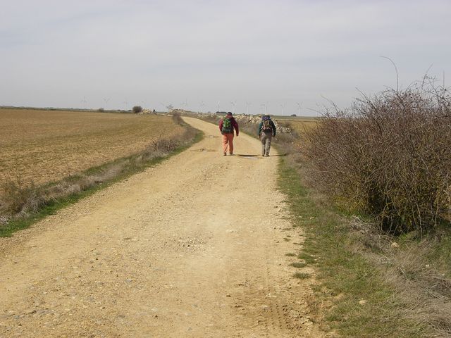 P3282766.JPG