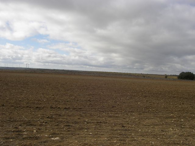 P3292782.JPG