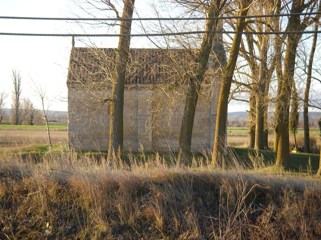 P3302788.JPG