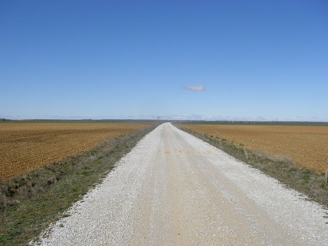 P3312810.JPG