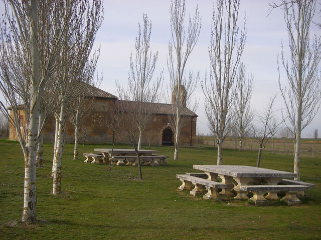 P4012821.JPG
