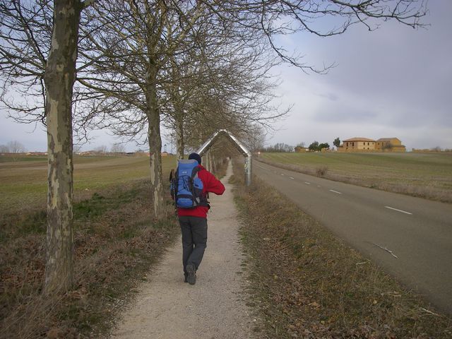P4012823.JPG