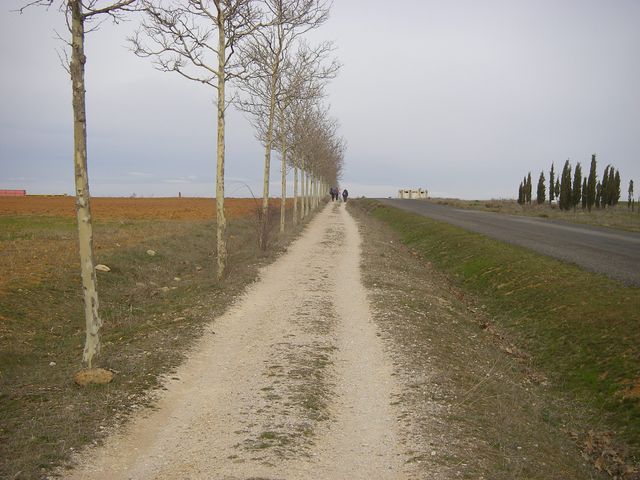 P4012825.JPG