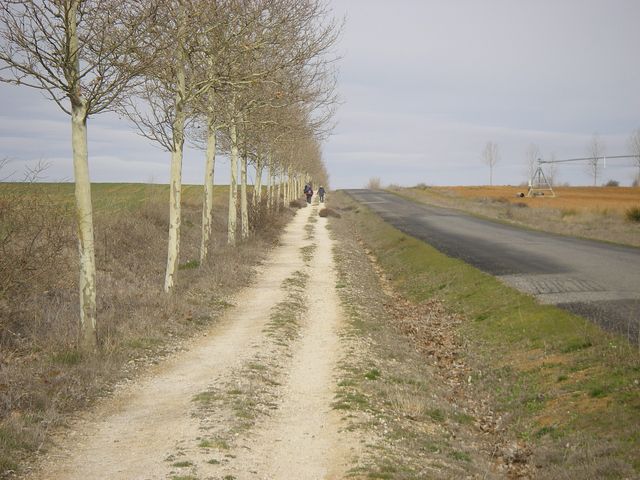 P4012826.JPG