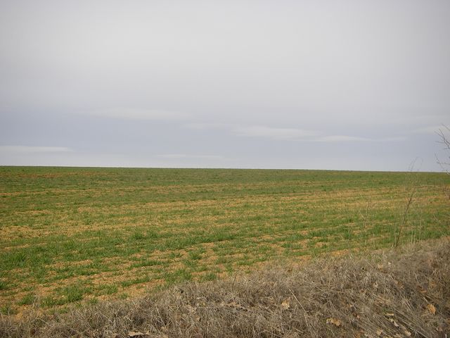 P4012827.JPG