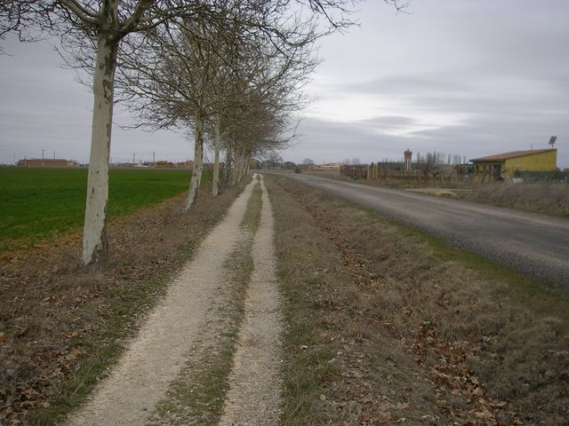 P4012830.JPG