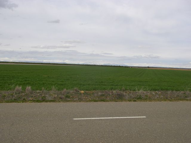 P4012834.JPG