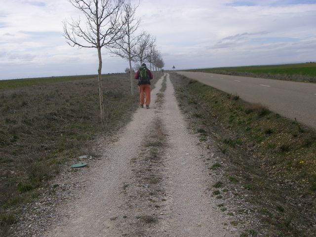 P4012835.JPG